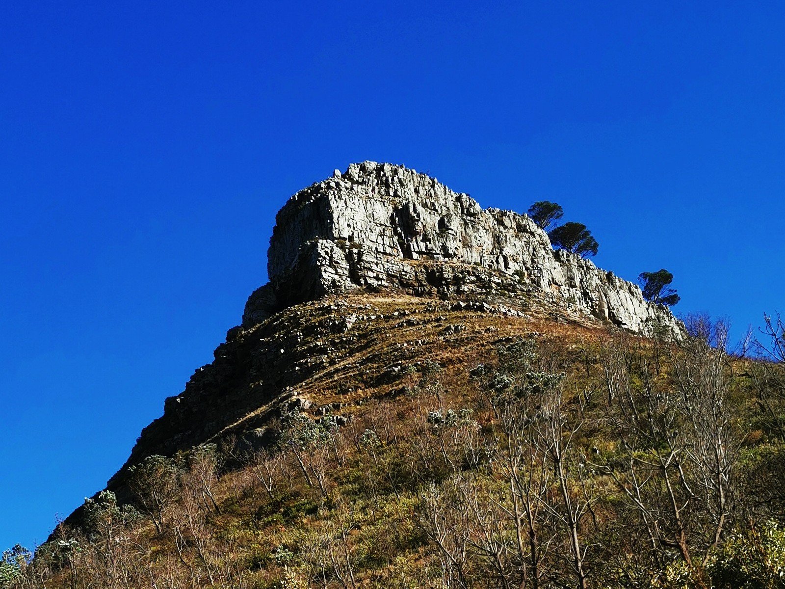 table-mountain-national-park-archives-sesame-green-beans